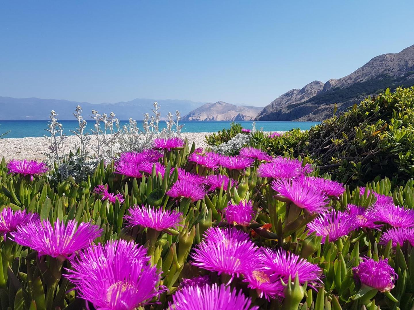 Apartments Lovincic Baška Zewnętrze zdjęcie